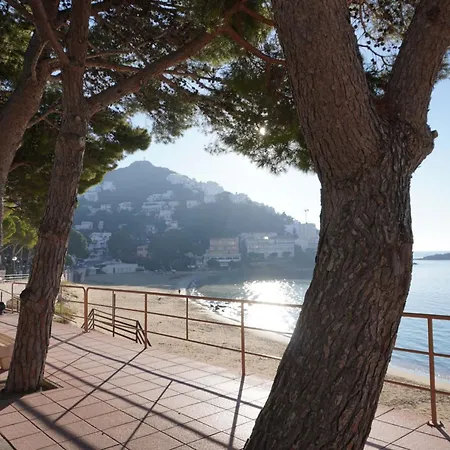 Solmar1 A 100 M, Terrasse Vue Mer, Parking, Wi-fi Apartment Roses
